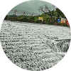 Bhushi Dam